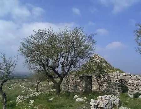 Alta Murgia