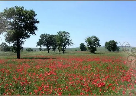 Alta Murgia Gravina in Puglia